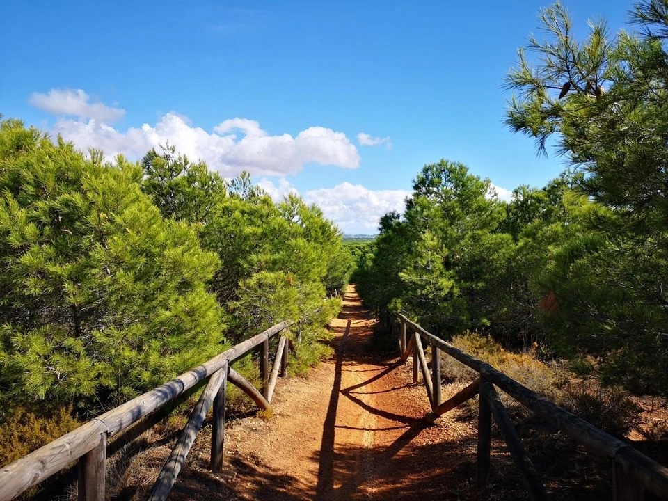Sendero natural cerca de Conil de la Frontera